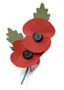 St. Mary’s Remembrance Day