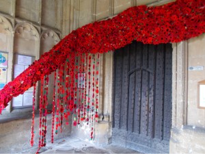 Poppy Display